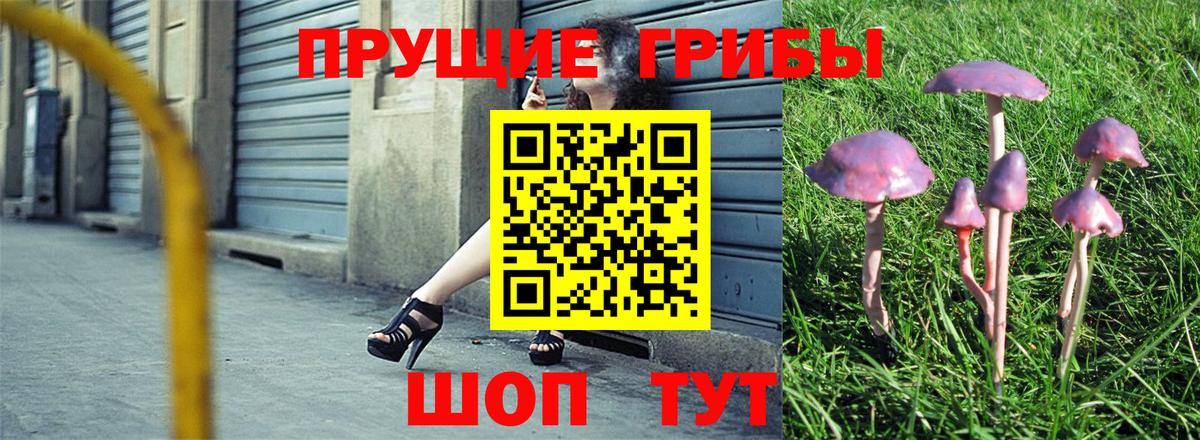 Качканар  купить   Вход с VPN  Псилоцибиновые грибы Cubensis  Галлюциногенные грибы мухоморы 